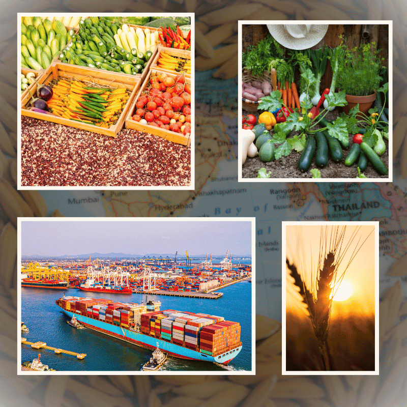 food-items-export